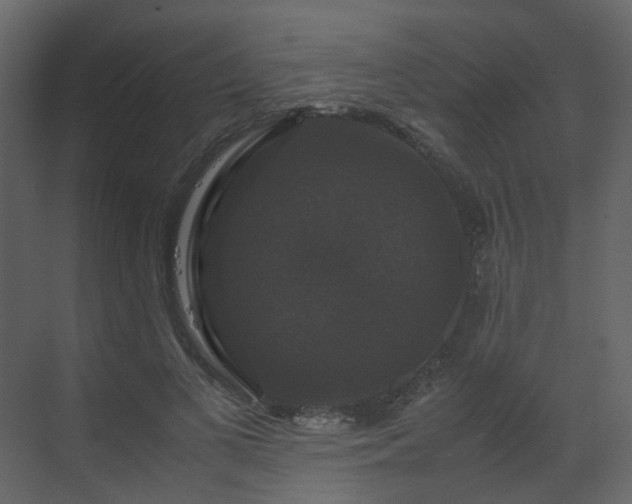 X0000070170693200605301326