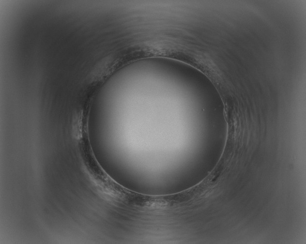 X0000070170694200605301326