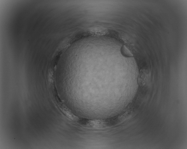 X0000070170713200605301325