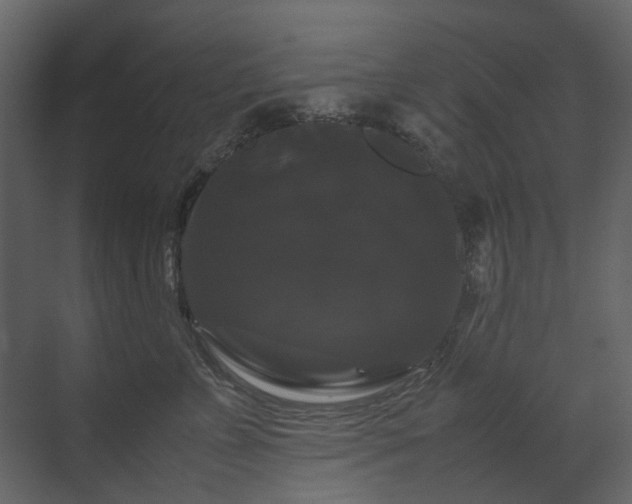 X0000070170715200605301325
