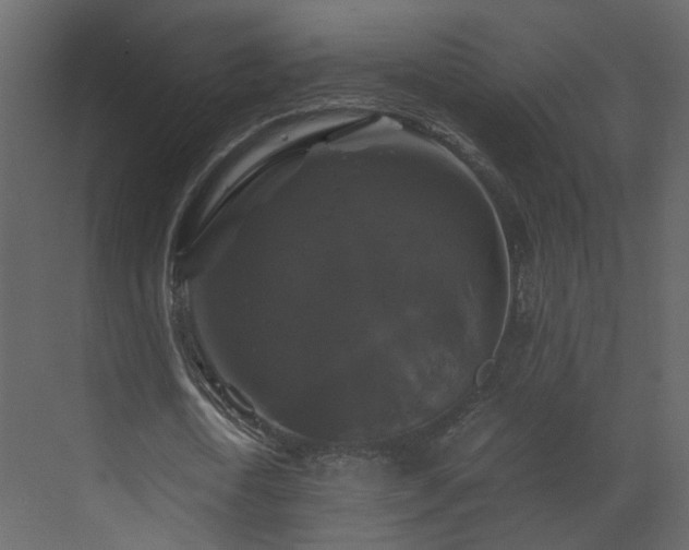 X0000070170722200605301324
