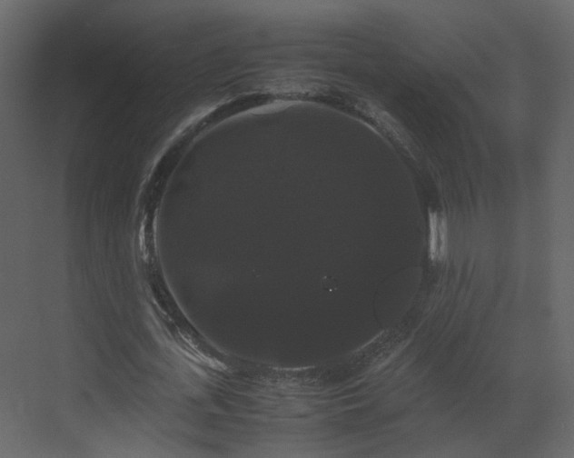 X0000070170723200605301324