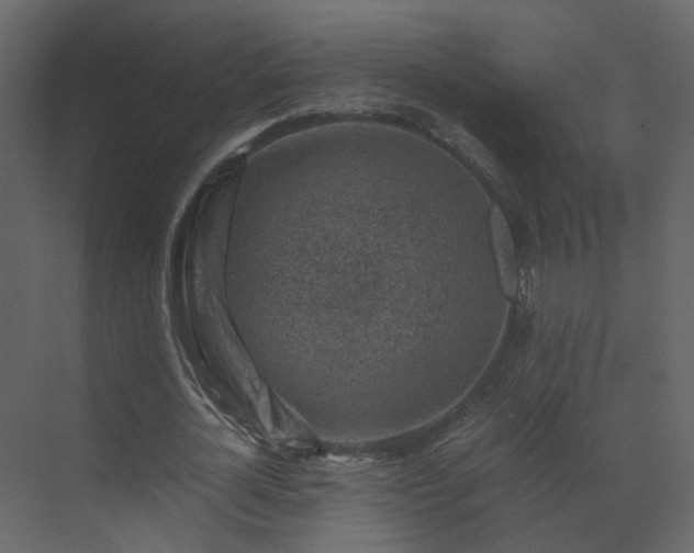 X0000070170724200605301324