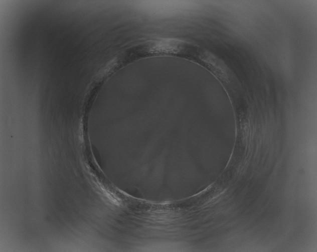 X0000070170729200605301325