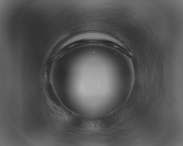 X0000070170731200605301325