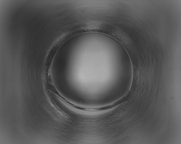 X0000070170732200605301325