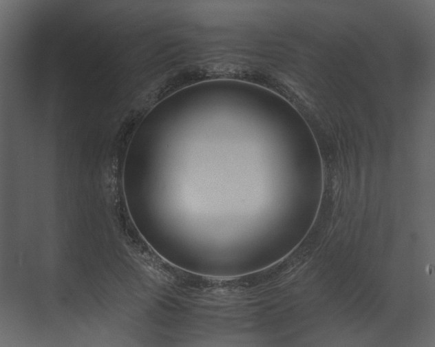 X0000070170737200605301325