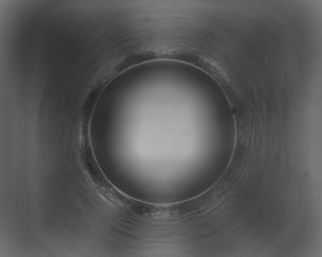 X0000070170740200605301325