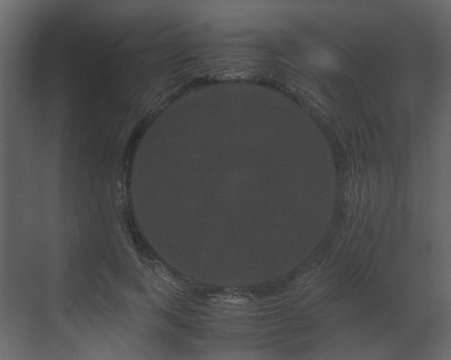 X0000070170743200605301325