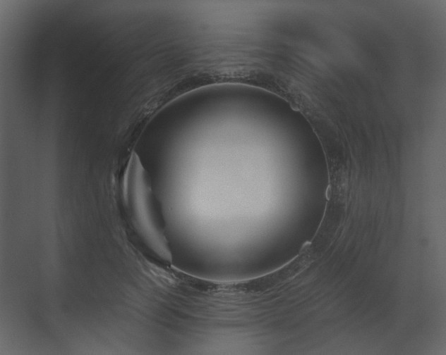 X0000070170746200605301325