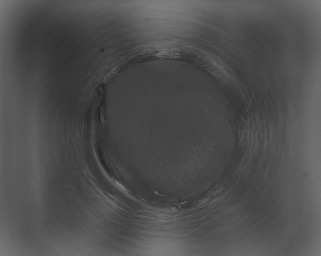 X0000070170748200605301325