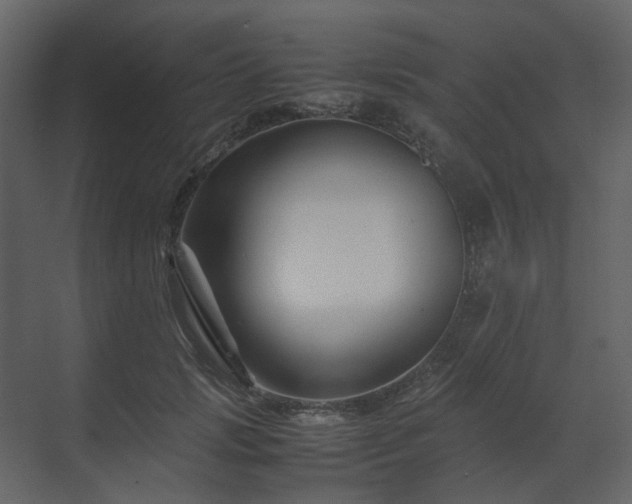 X0000070170749200605301325