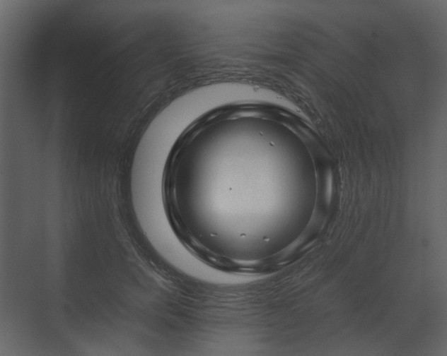 X0000070170750200605301325
