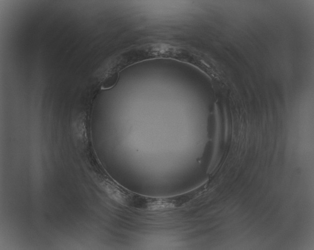 X0000070170754200605301325