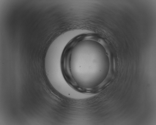 X0000070170756200605301325