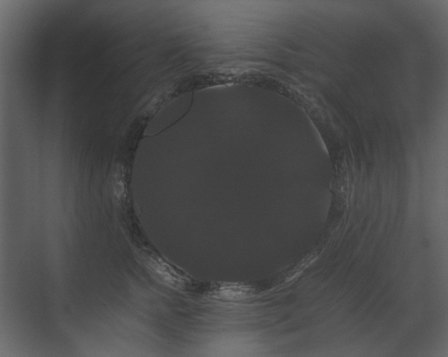 X0000070170758200605301325