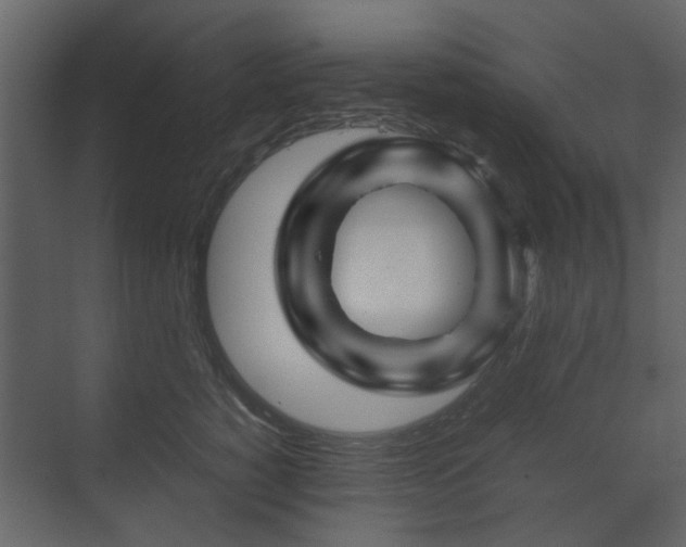 X0000070170760200605301325