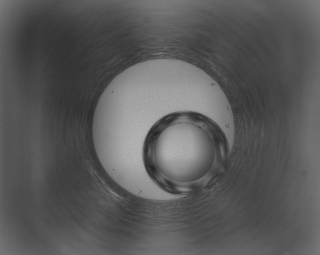 X0000070170764200605301325