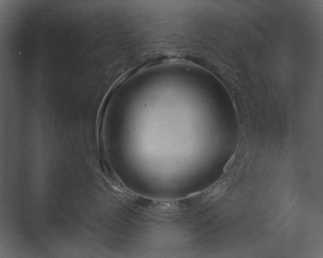 X0000070170768200605301325
