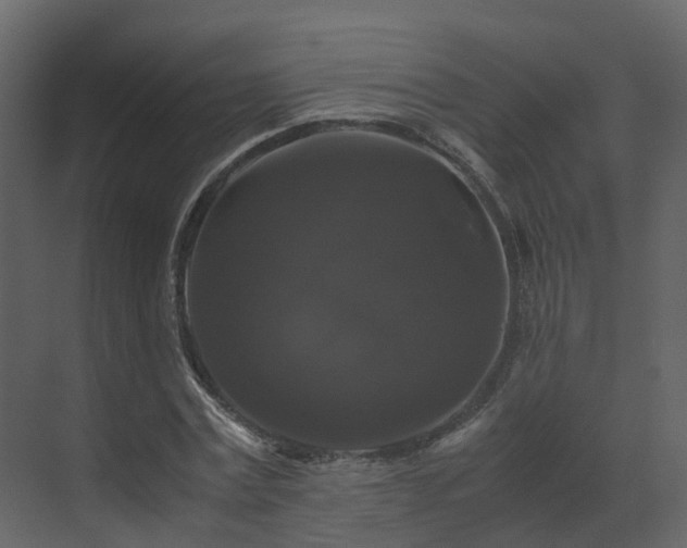 X0000070170779200605301324
