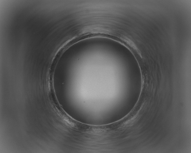 X0000070170782200605301324