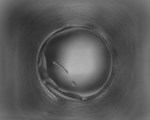 X0000070170787200605301324
