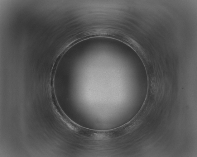 X0000070170794200605301324