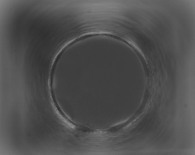 X0000070170797200605301324
