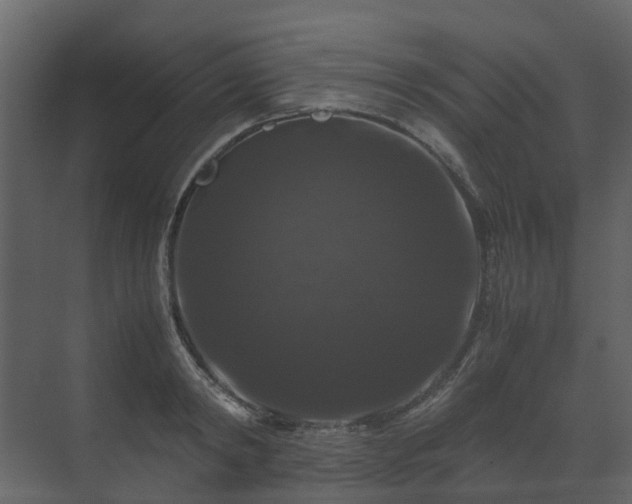 X0000070170798200605301324