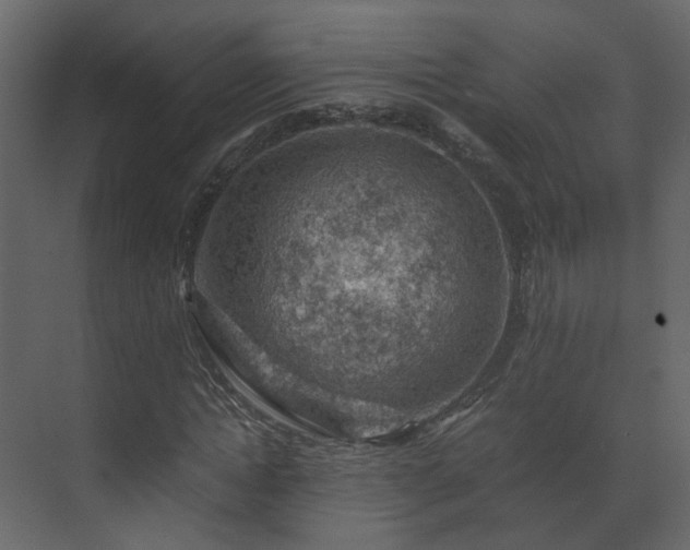X0000070170822200605301323