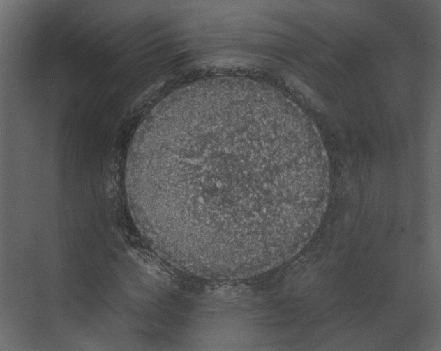X0000070170824200605301323