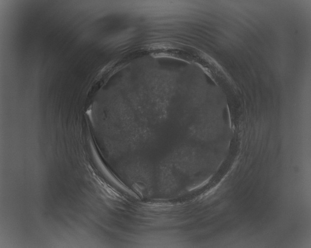 X0000070170825200605301323