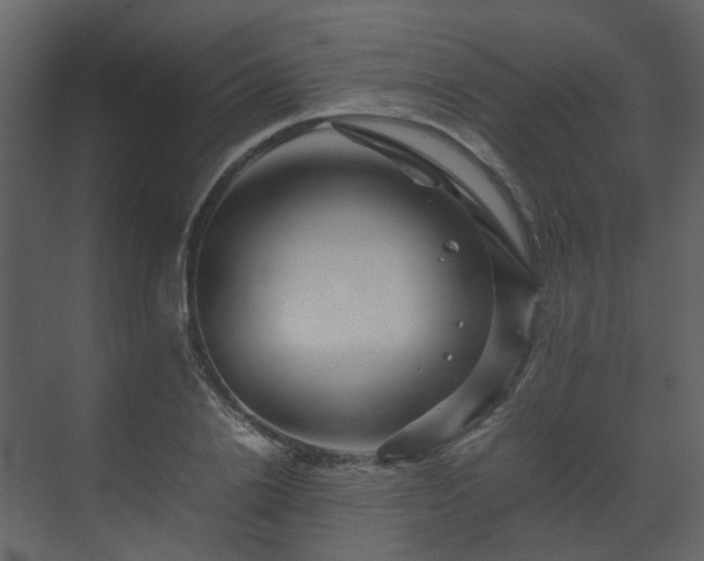 X0000070170838200605301323