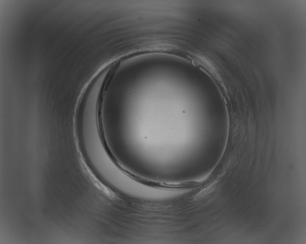 X0000070170843200605301323