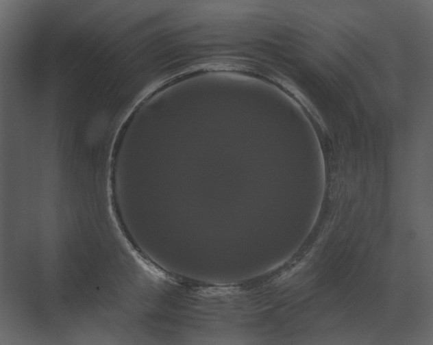X0000070170853200605301323