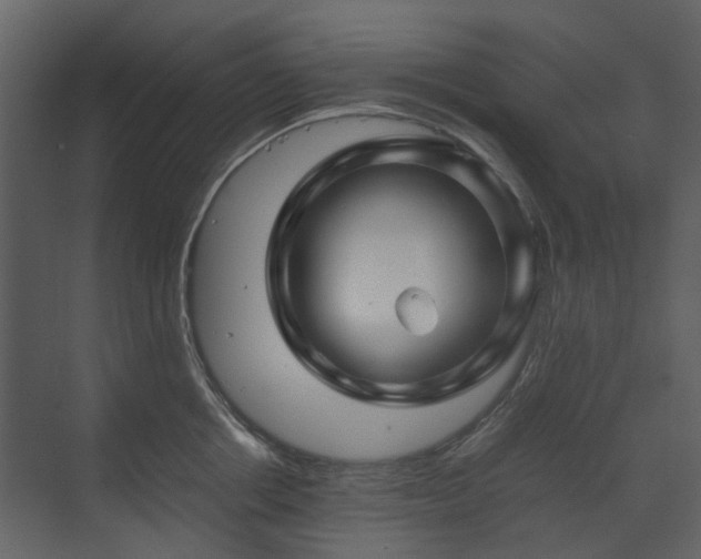 X0000070170858200605301323
