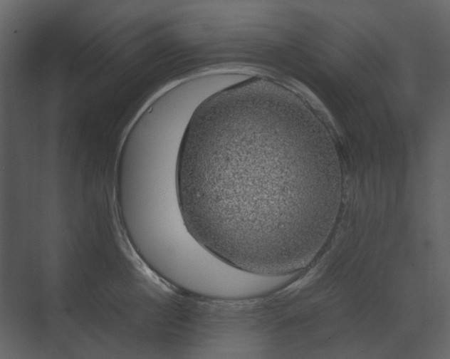 X0000070170860200605301324