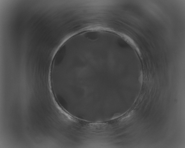 X0000070170863200605301324
