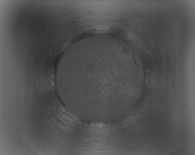 X0000070170866200605301323