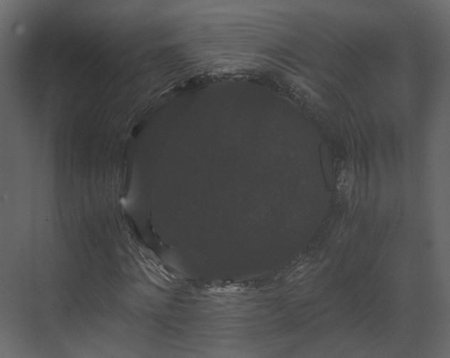 X0000070170868200605301323