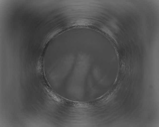 X0000070170874200605301323
