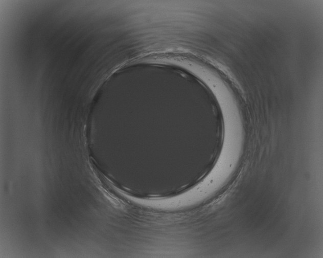 X0000070170881200605301323