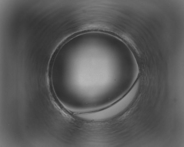 X0000070170888200605301322