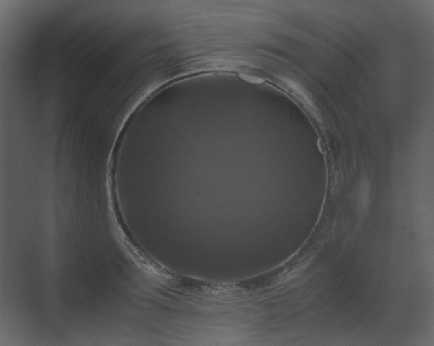 X0000070170899200605301322