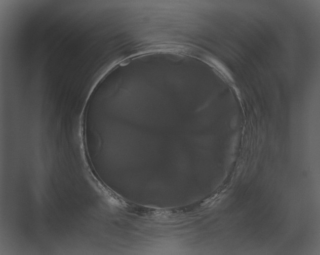 X0000070170907200605301322