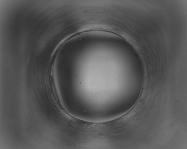 X0000070170912200605301322