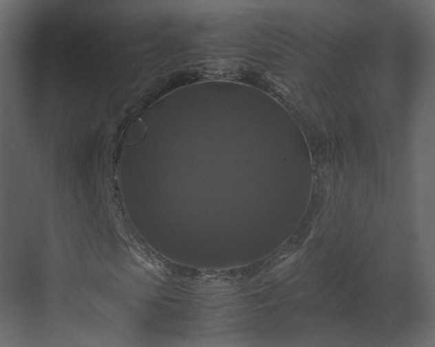 X0000070170913200605301321
