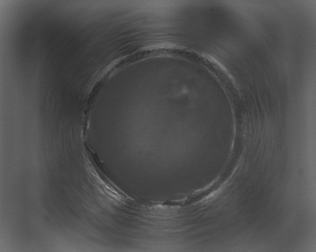 X0000070170921200605301321