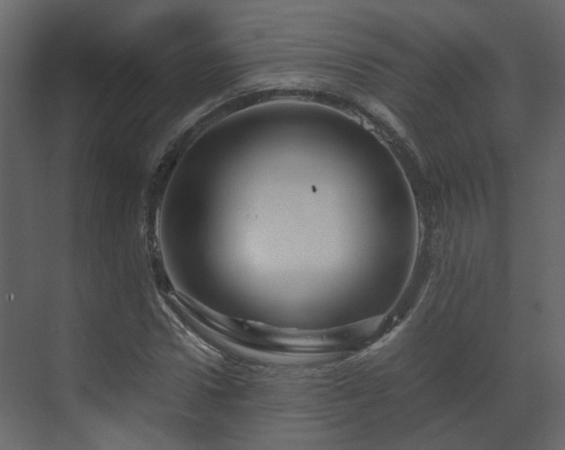 X0000070170922200605301321