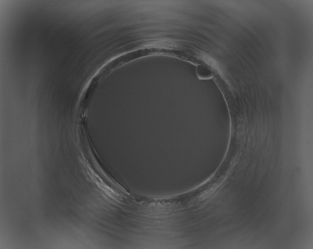 X0000070170923200605301321